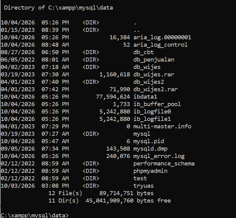 Isi folder C:\xampp\mysql\data